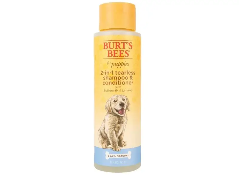 Best Poodle Shampoo Burt Bees