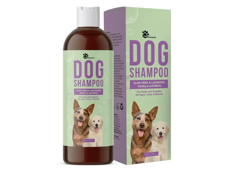 Best Poodle Shampoo Honey Dew Natural Dog Shampoo