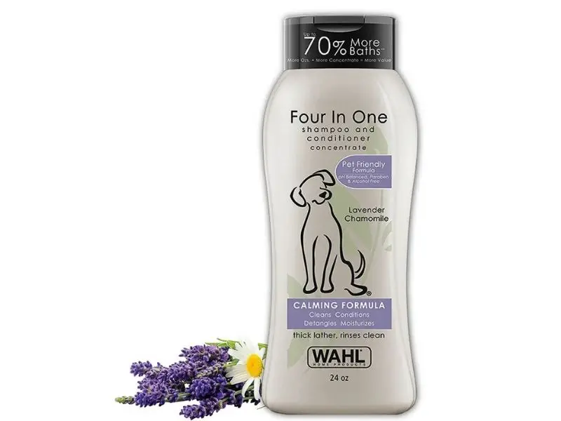 Best Poodle Shampoo Wahl 4 In 1